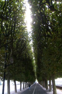 Walking in Compiegne