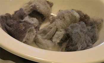 Dryer lint