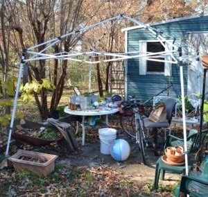 The beat-up canopy frame which would eventually become a greenhouse