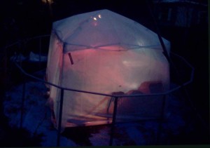 Night shot of the quick-and-dirty greenhouse illuminated from within by a heat bulb