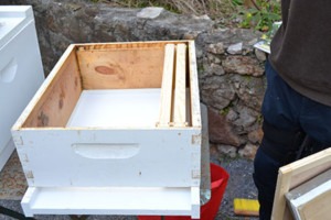 The inside of a new hive