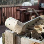 Toilet paper rolls for planting