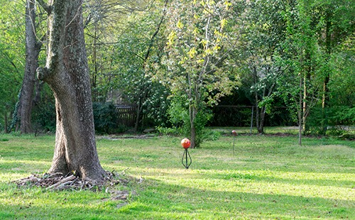 Longhouse back yard