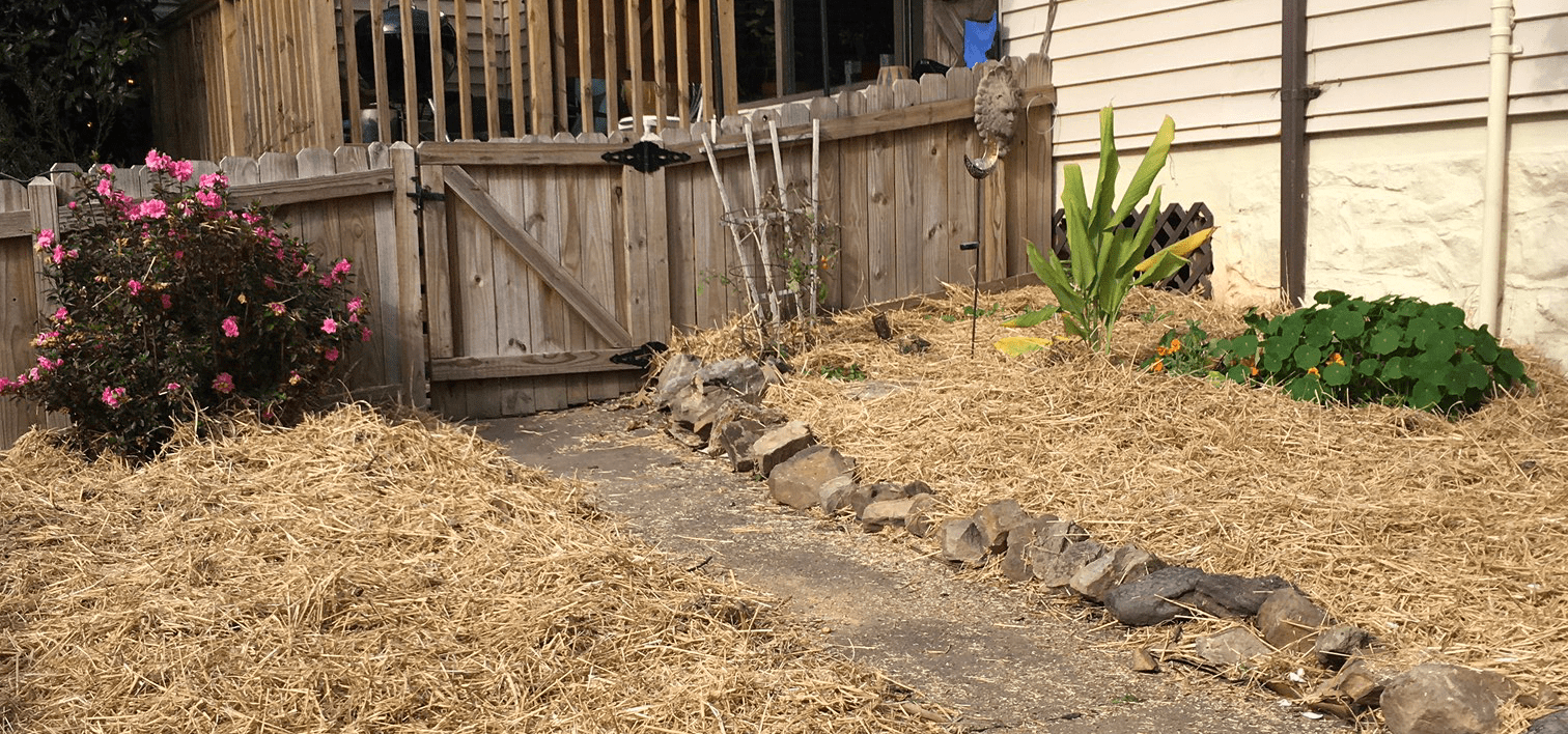 Sheet Mulching for Spring