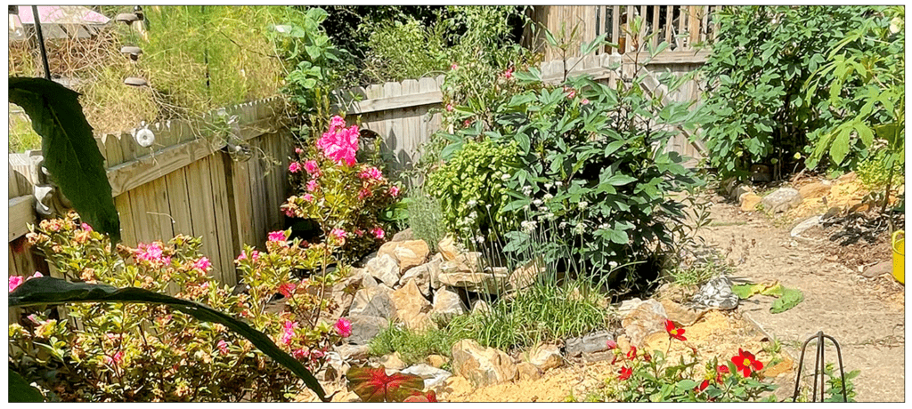 Herb Spiral in late summer