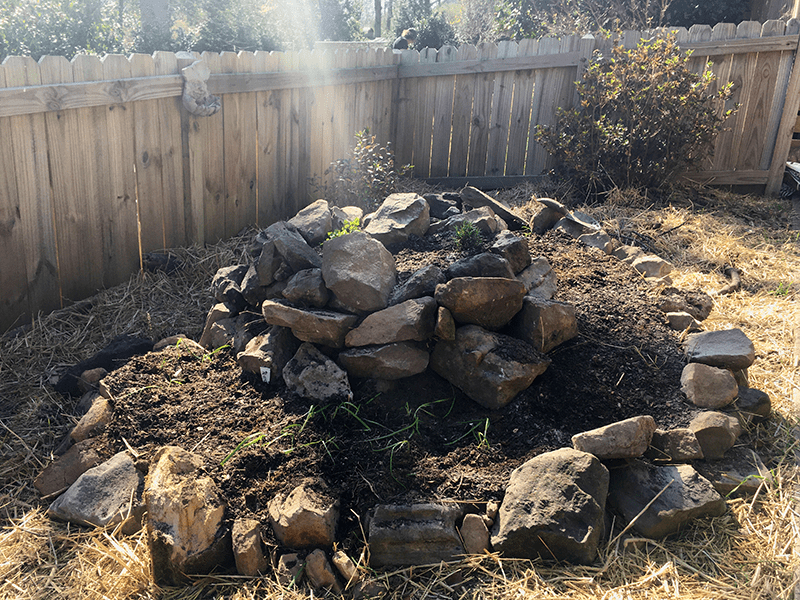 Sunbeams hit the top of the newly planted spiral garden