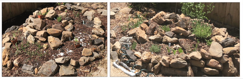 Two early shots of the spiral garden