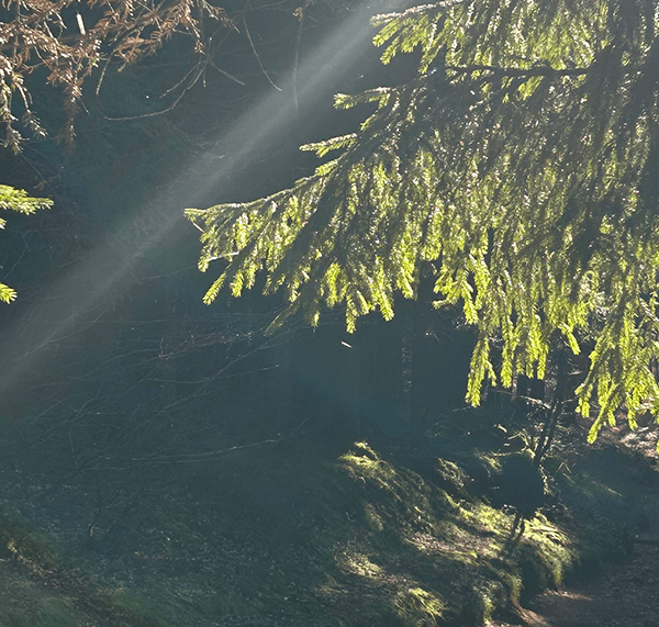 Sun stream