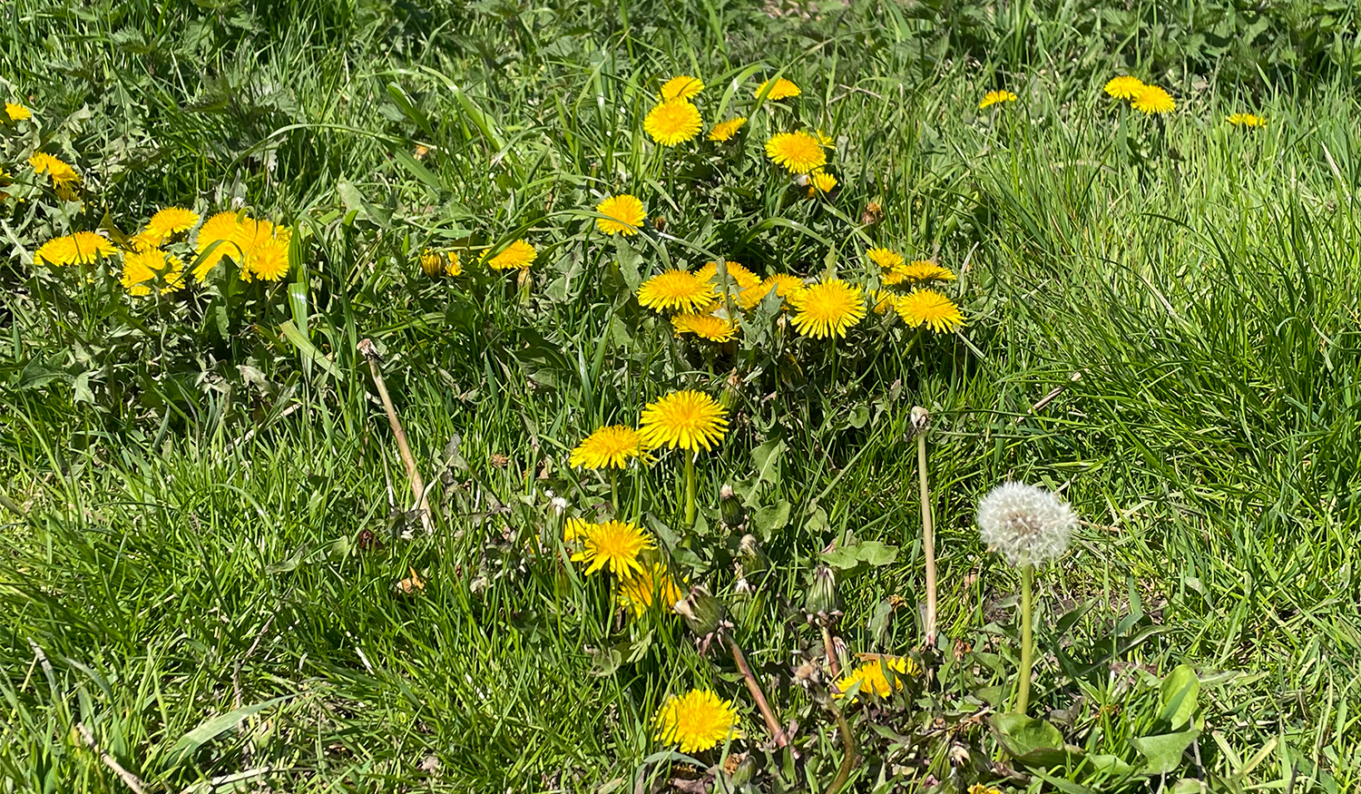 Living sustainably – it’s the new sexy